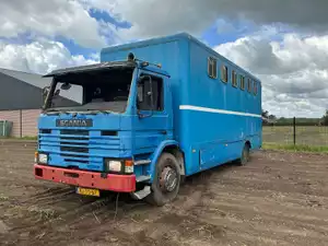 Scania 82M vrachtwagen paarden­transport (1984), diesel, handgeschakeld