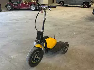 Briski elektrische step/driewieler 48V